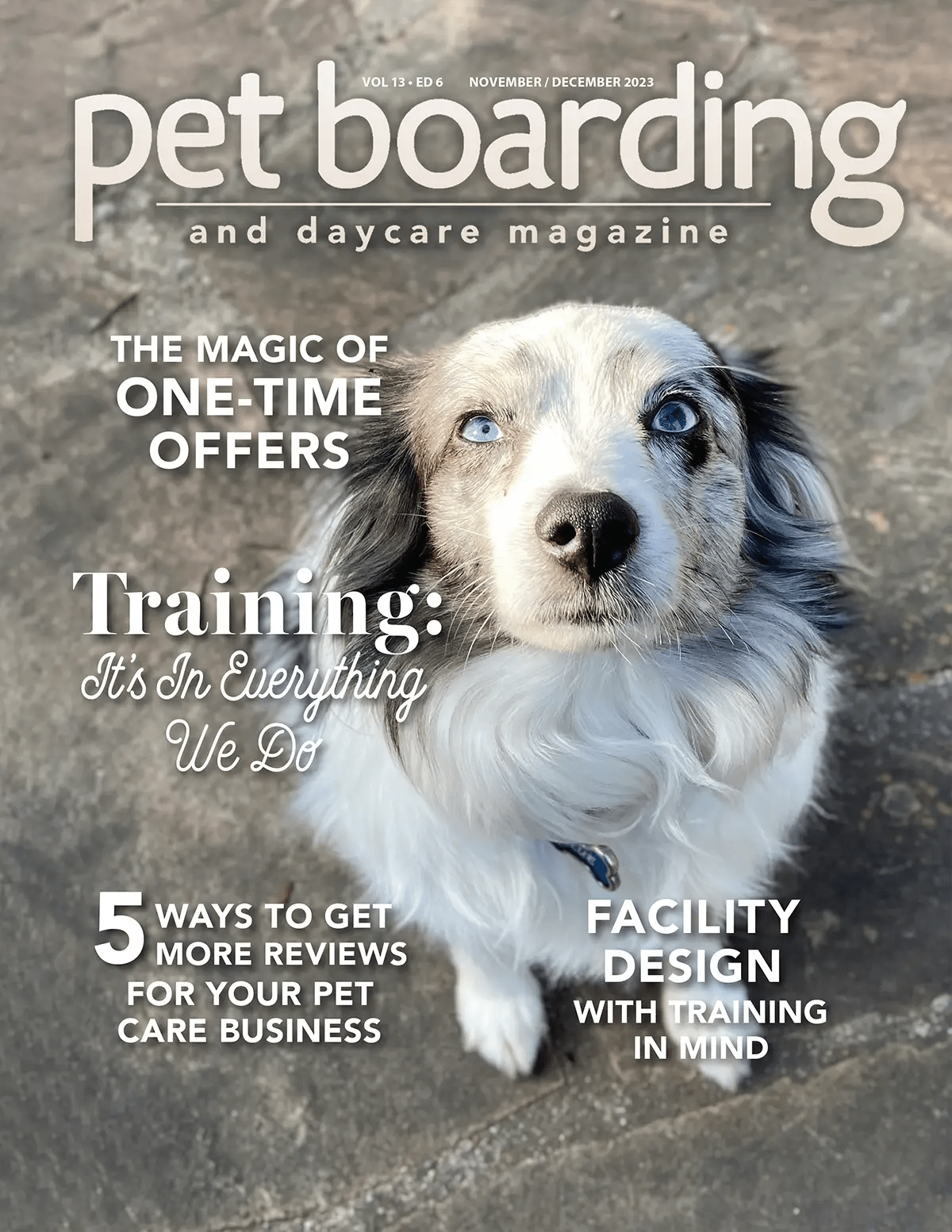 Pet Boarding and Daycare Magazine