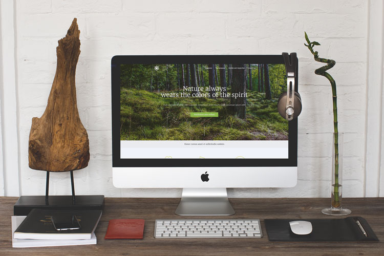 Web Design & SEO in Salt Lake City, Utah Digital Bright Sun