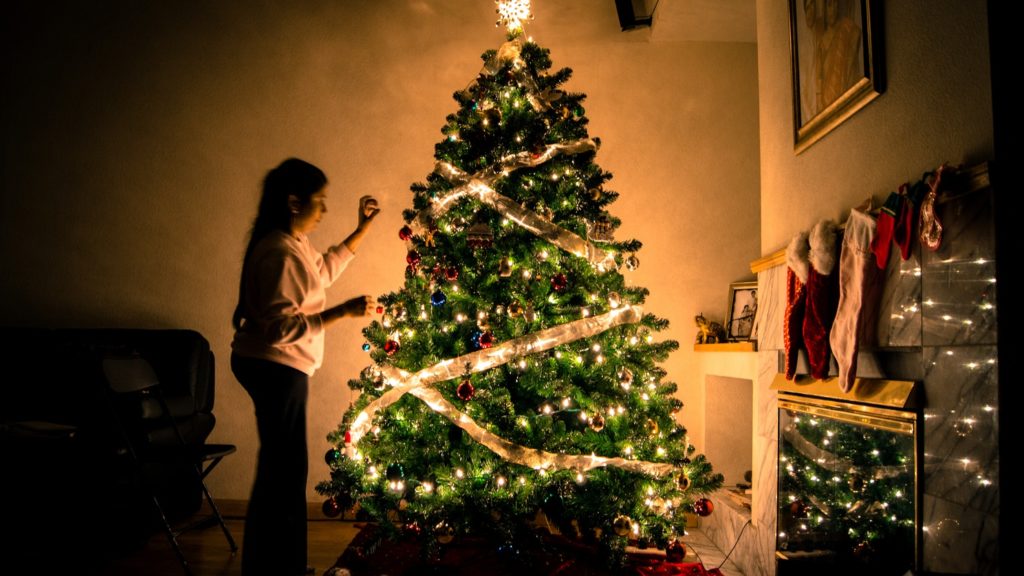 America is Facing a Christmas Tree Shortage