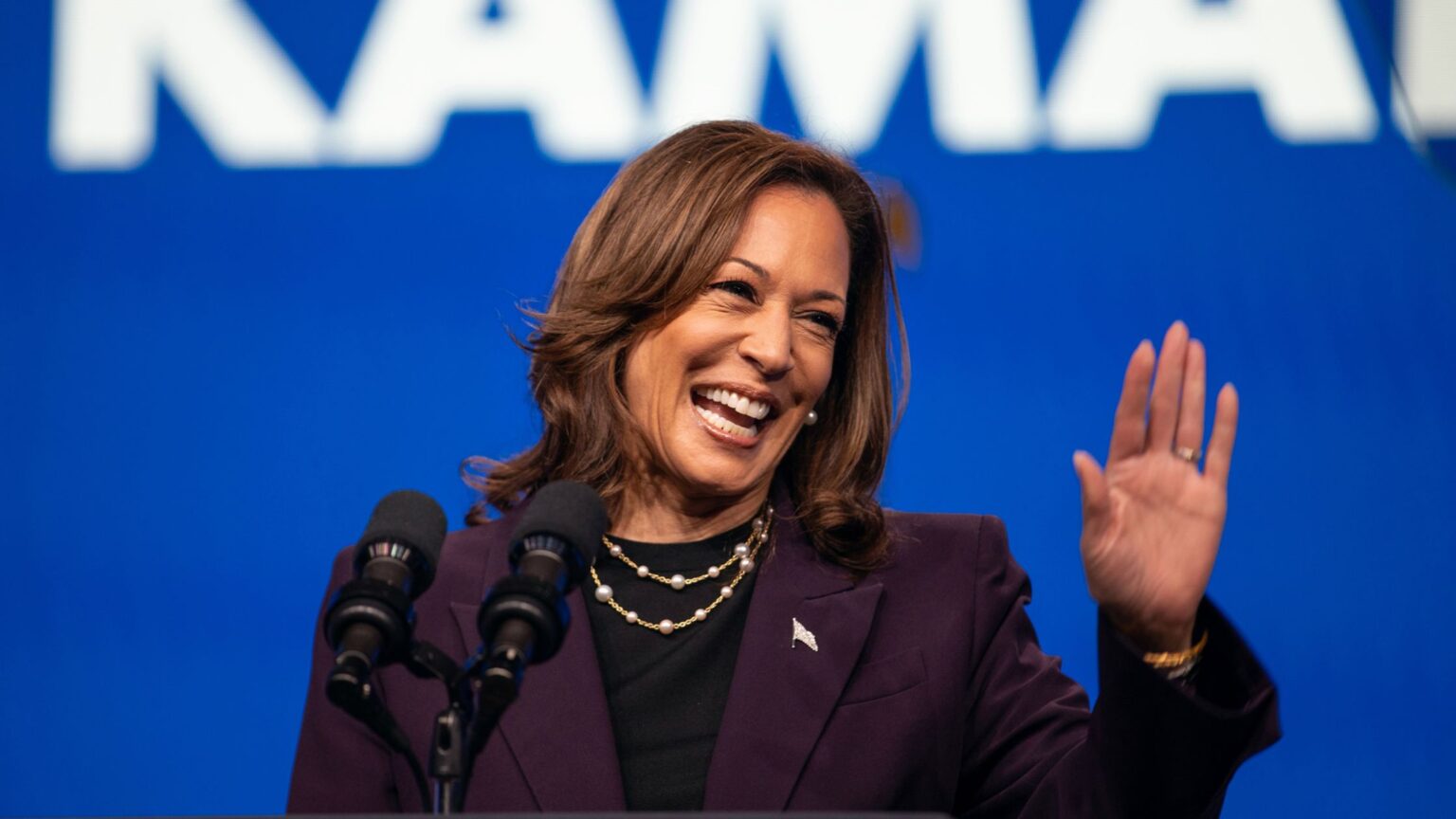 Kamala Harris vs. Donald Trump Presidential Debate Everything You Need(03)