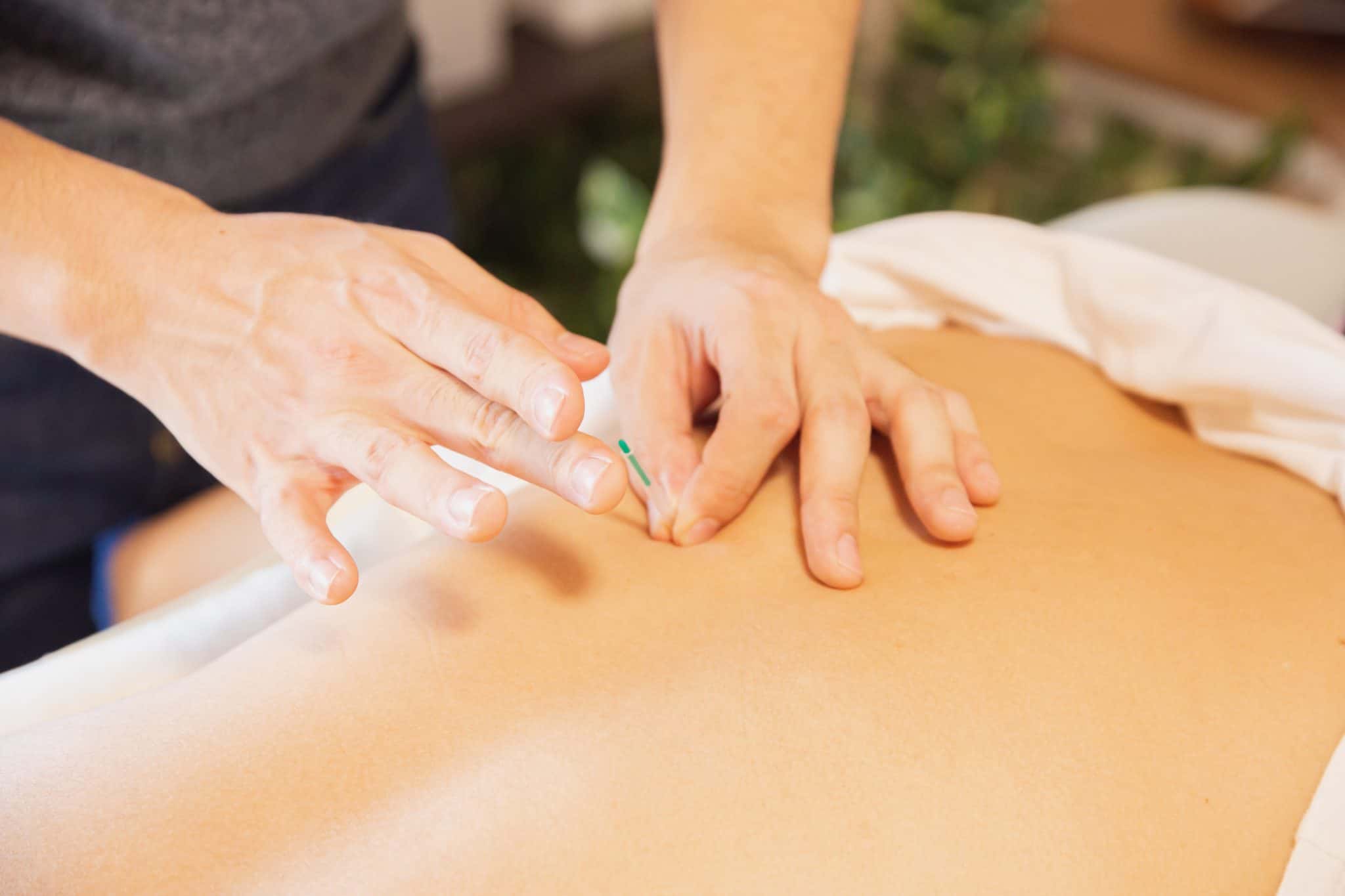 6 Best Occupational Therapist Courses [2022 MARCH] [UPDATED]