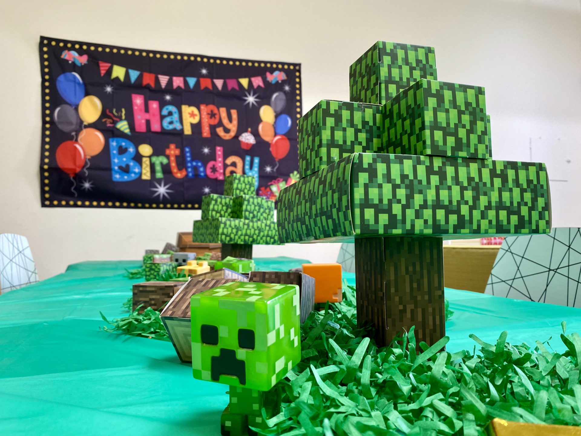 Virtual Minecraft Party InPerson Kids Birthday Parties