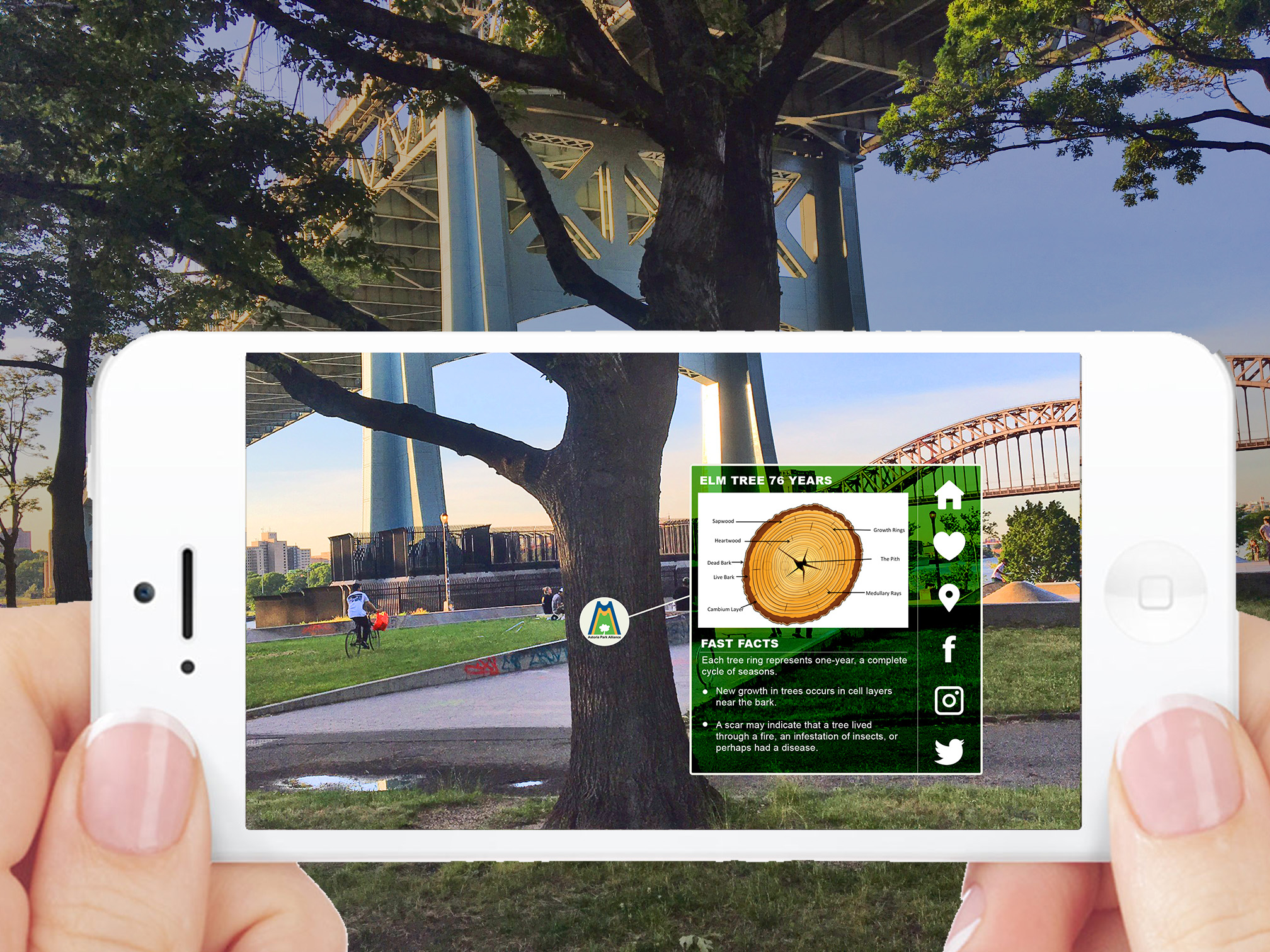 Augmented Reality Tree Ecology Douglas F. Monaco
