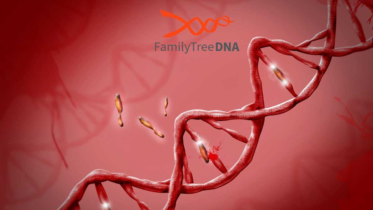 Family Tree DNA Test What you should know before ordering Digital