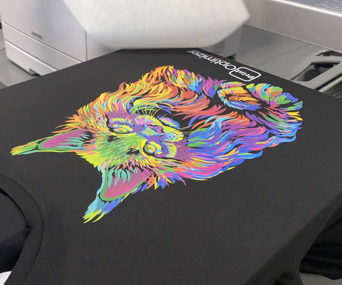 DirecttoFilm Transfers Case Study How Much Money Can You Make with