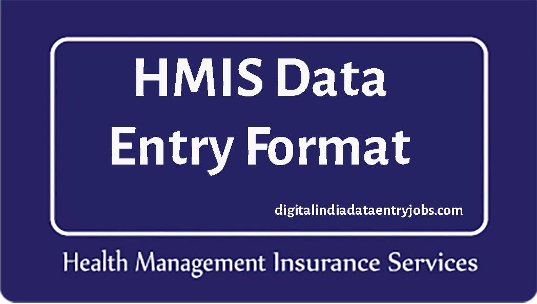 HMIS Data Entry Format, Key Features, Healthcare Data , Records