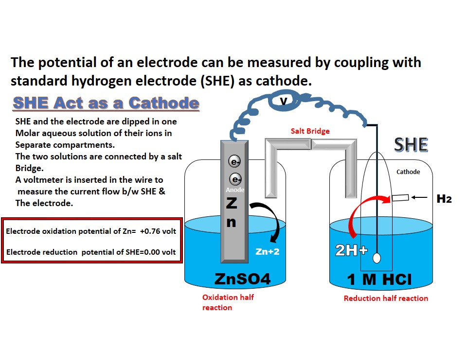 Cathode And Anode