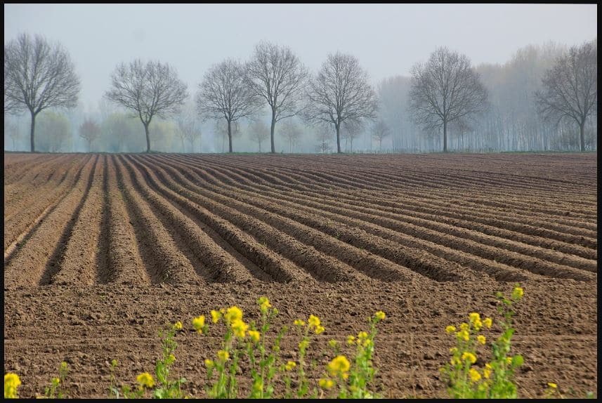 About land holding in India UPSC IAS Digitally learn