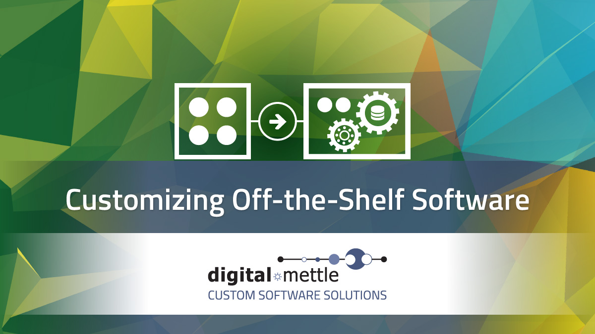 Best of Both Worlds Customizing OfftheShelf Software Digital Mettle