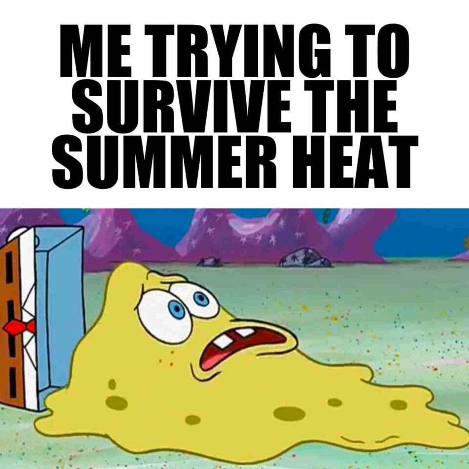 35 Hot Weather Memes That Totally Get The Summer Struggle