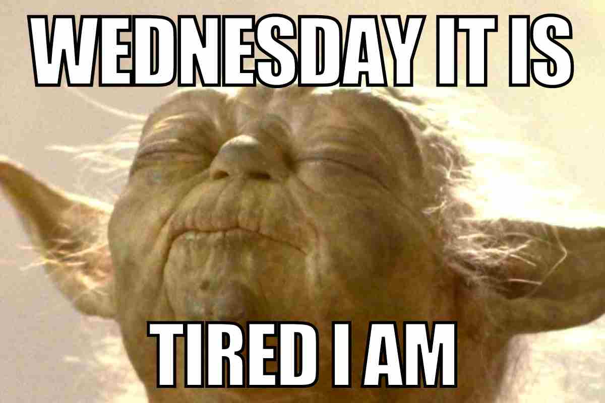 Funny Wednesday Memes To Get You Over The Hump