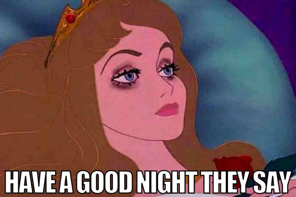 27 Best Goodnight Memes To Share Before Bedtime(04)