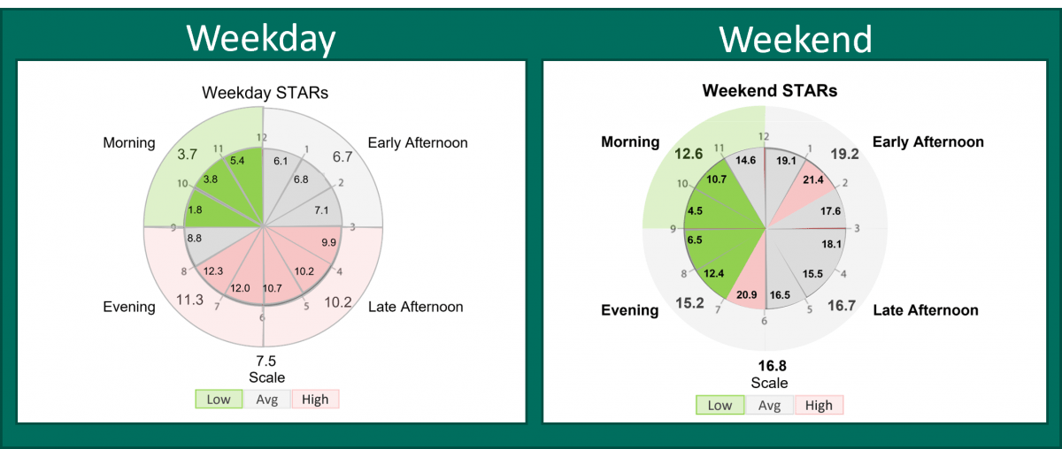 The STARs Clock Visualizing Shopper to Labor Ratios Digital Mortar