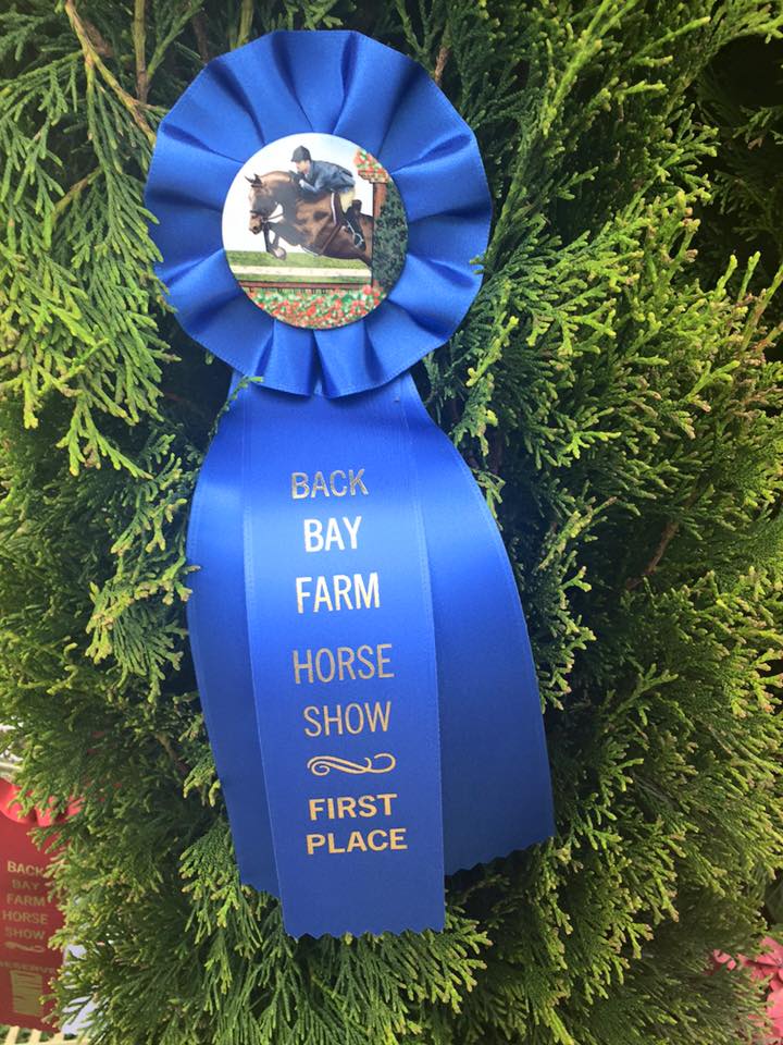 Back Bay Farm Digital Strategy Implemented