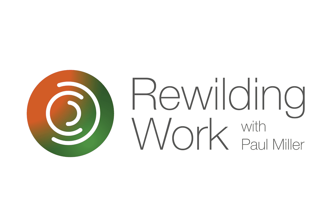 Digital Workplace Group Founder Paul Miller evolves his Nature of Work