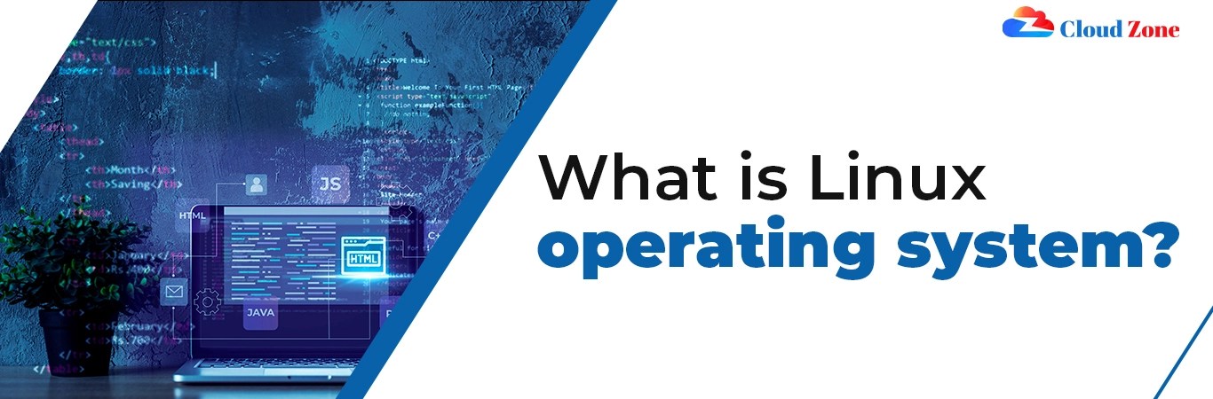 What is Linux Operating System? - Digi Trend Makers