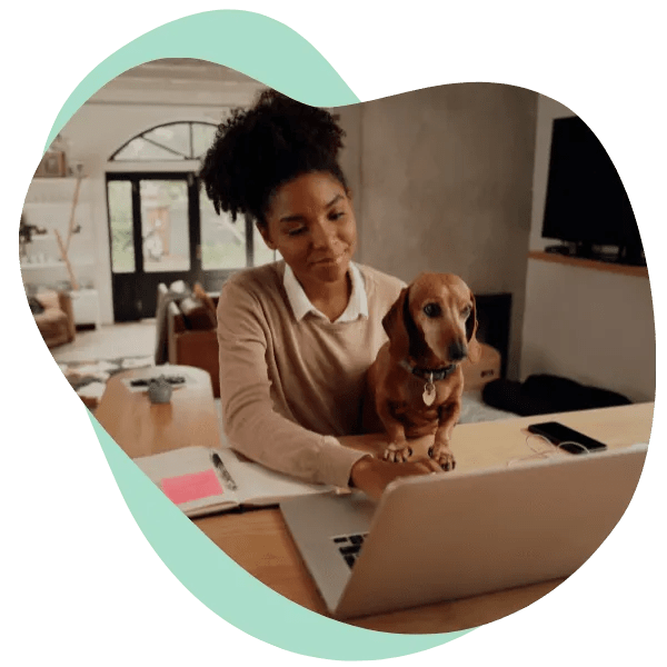 Marketing Agency & Software for R+ Dog Trainers Digiwoof OLD