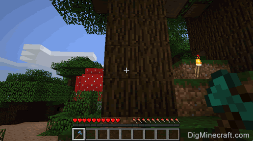 How to make Dark Oak Wood in Minecraft