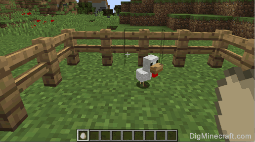 How to Grow a Chicken from Egg in Minecraft