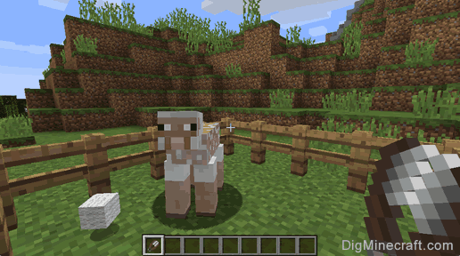 How to Shear a Sheep in Minecraft