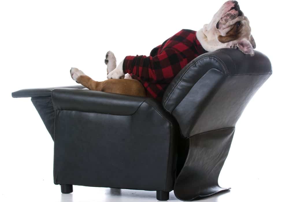 Recliner vs. Sofa DigsTalk