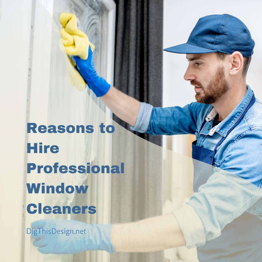 Professional Window Cleaners Why Hire Them? Dig This Design