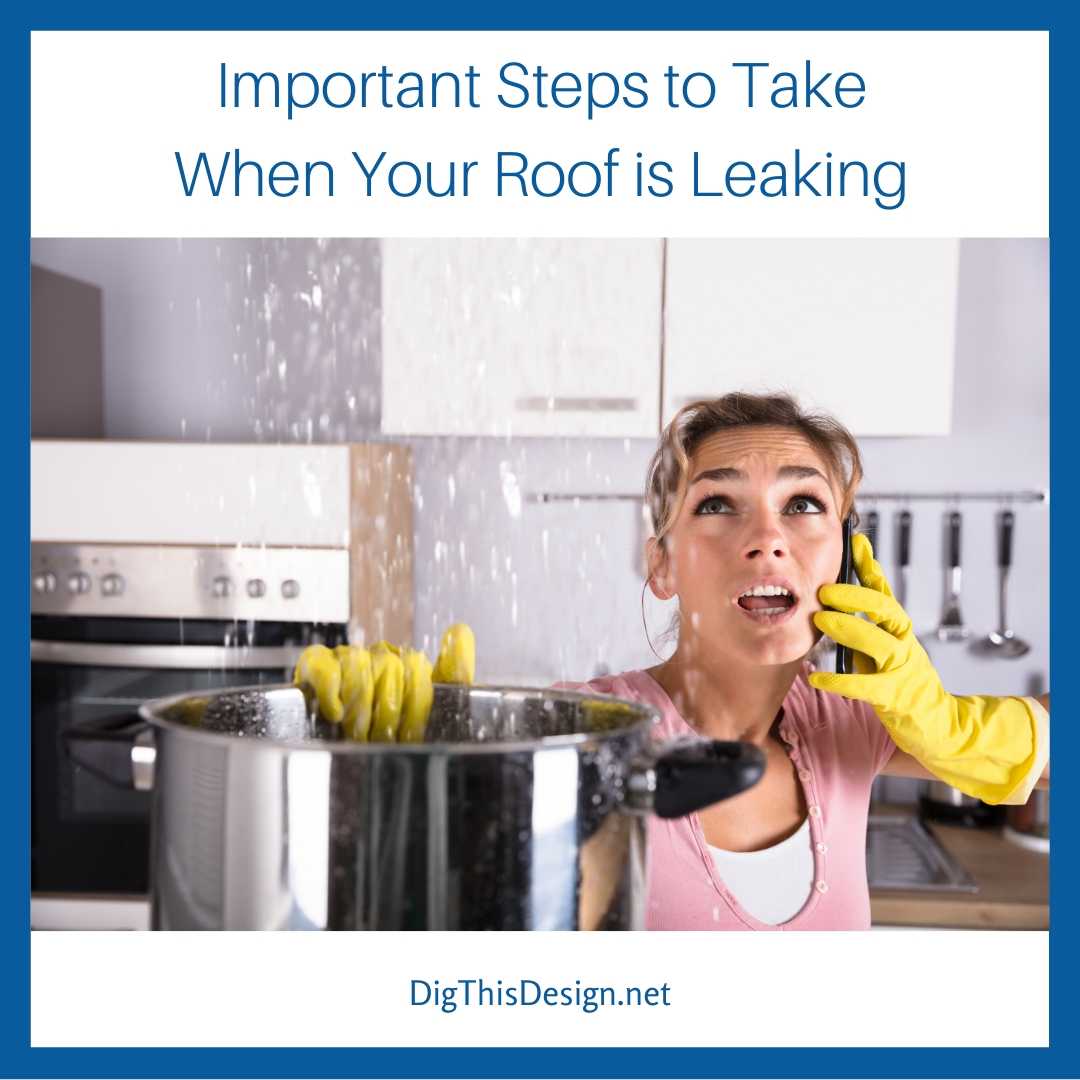 4 Immediate Actions to Take When Your Roof is Leaking Dig This Design