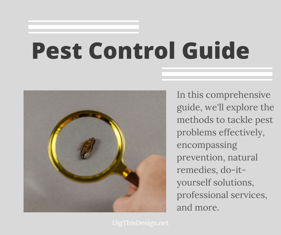 The Ultimate Guide to Effective Pest Control Methods Dig This Design