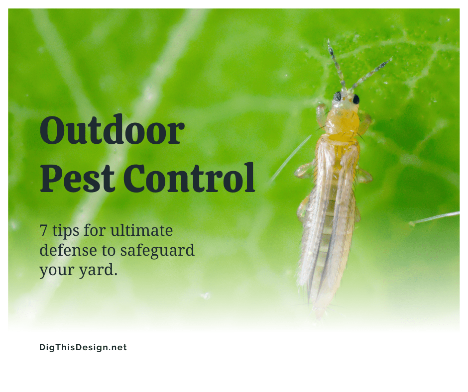 Outdoor Pest Control 7 Tips for Ultimate Defense to Safeguard Your