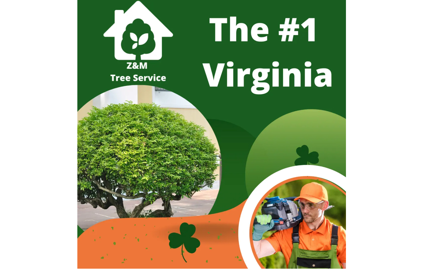 Z&M Tree Service 5 Star Featured Members