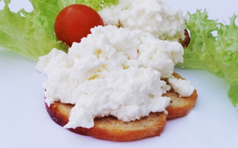Ricotta Cheese Substitute TOP 10 Alternatives