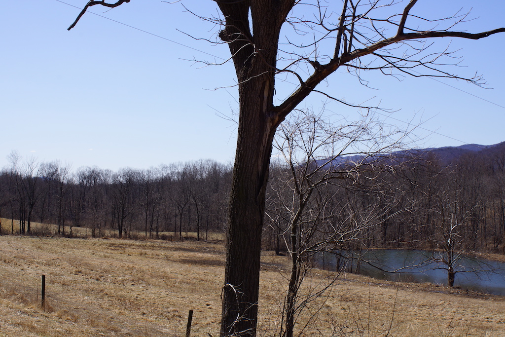 Little Cove Road Dillard Real Estate