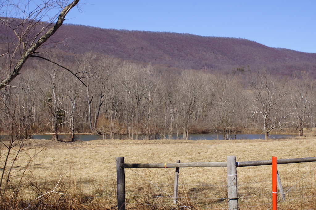 Little Cove Road Dillard Real Estate