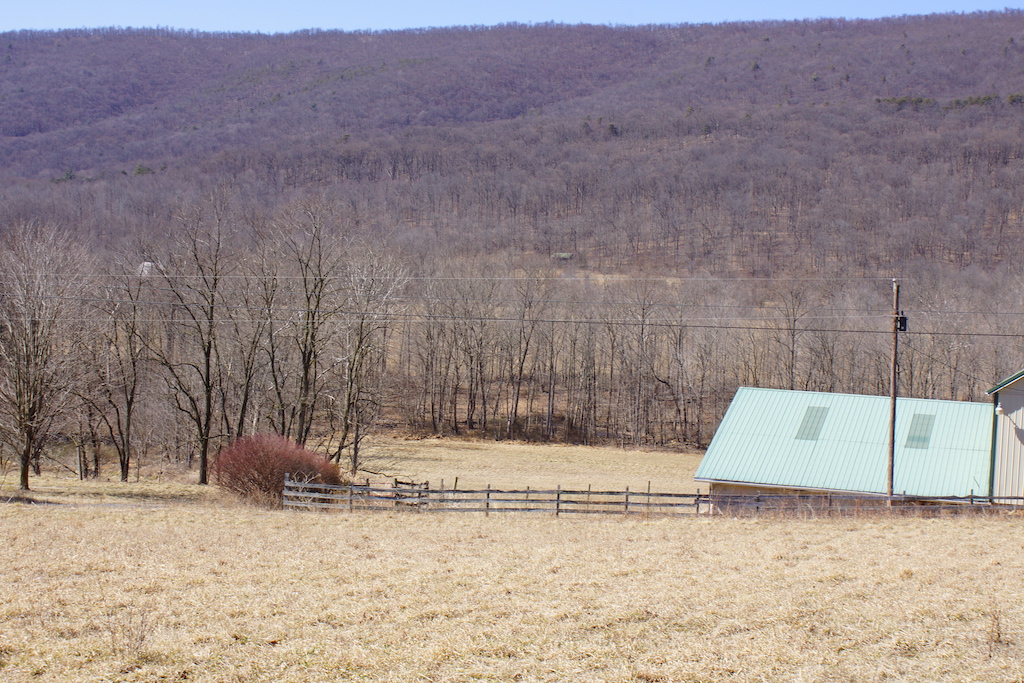 Little Cove Road Dillard Real Estate