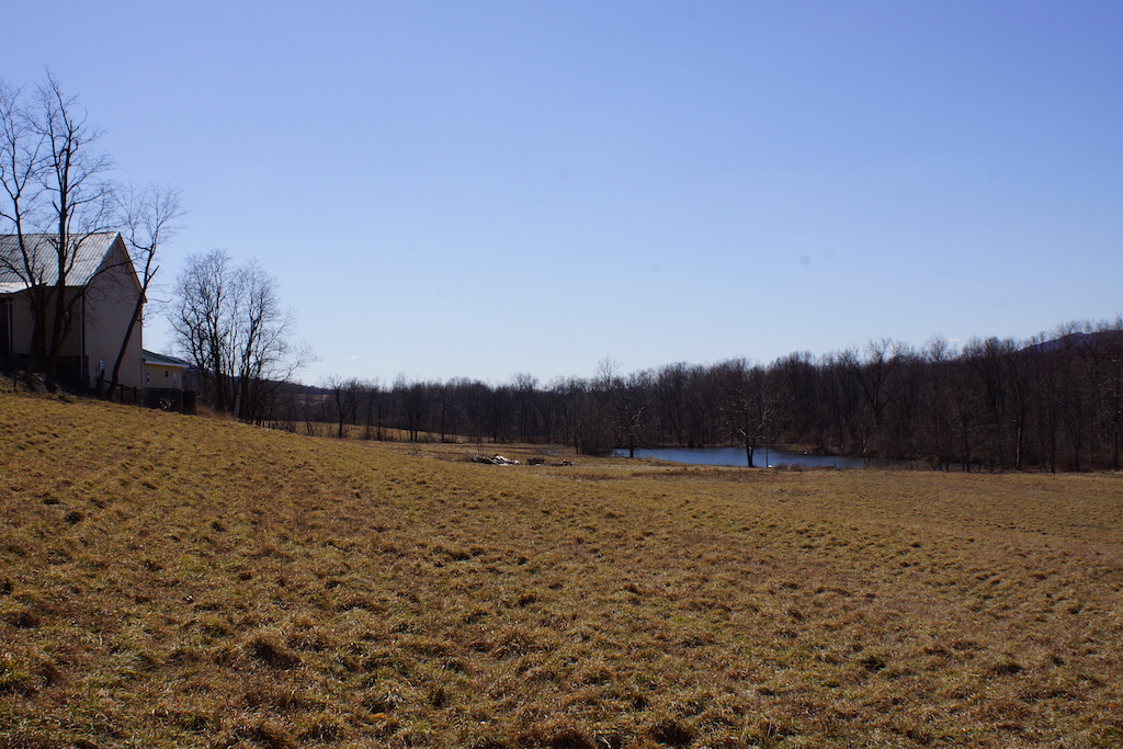 Little Cove Road Dillard Real Estate