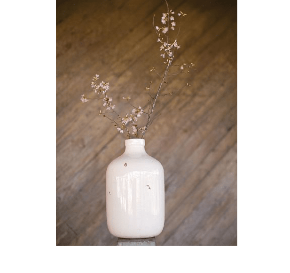 Large Decorative Jug Dillon Amber Dane Home Decor Barbados