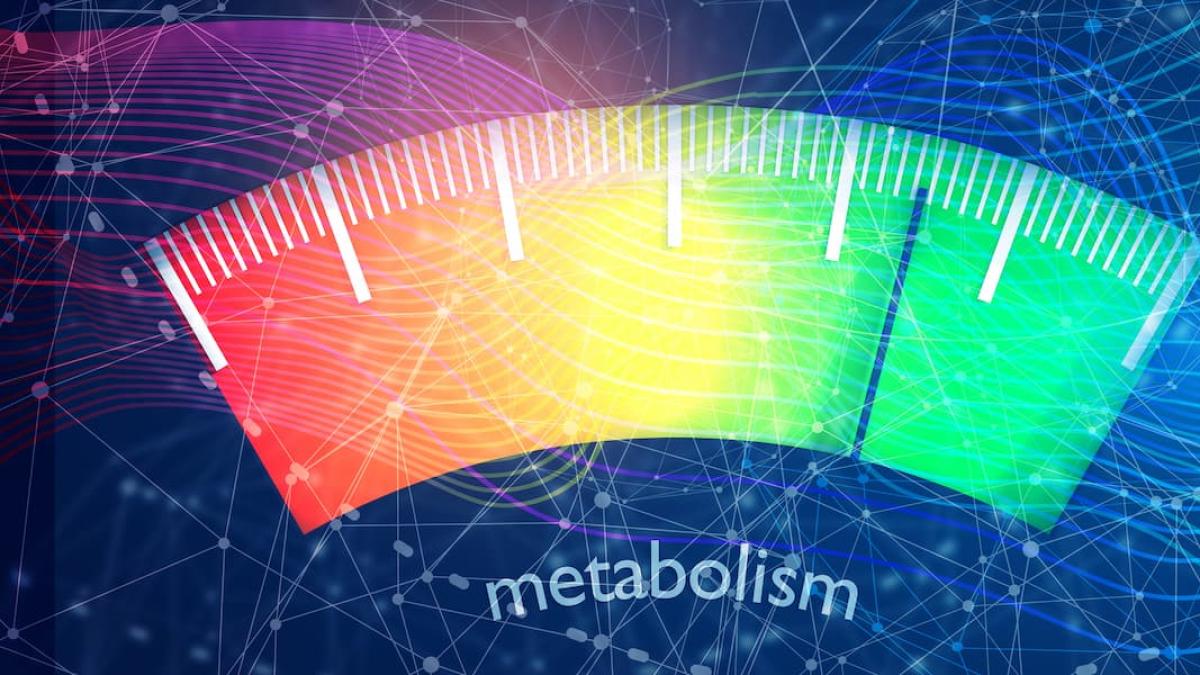 Metabolism, at what age does it start to slow down and why? Breaking