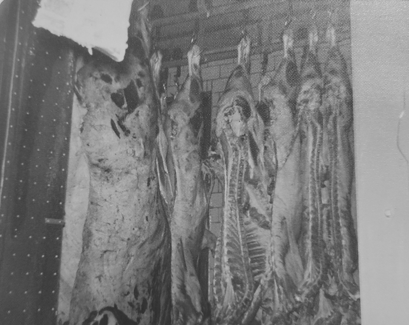 Dime Box Meat Market Custom Meat Processing