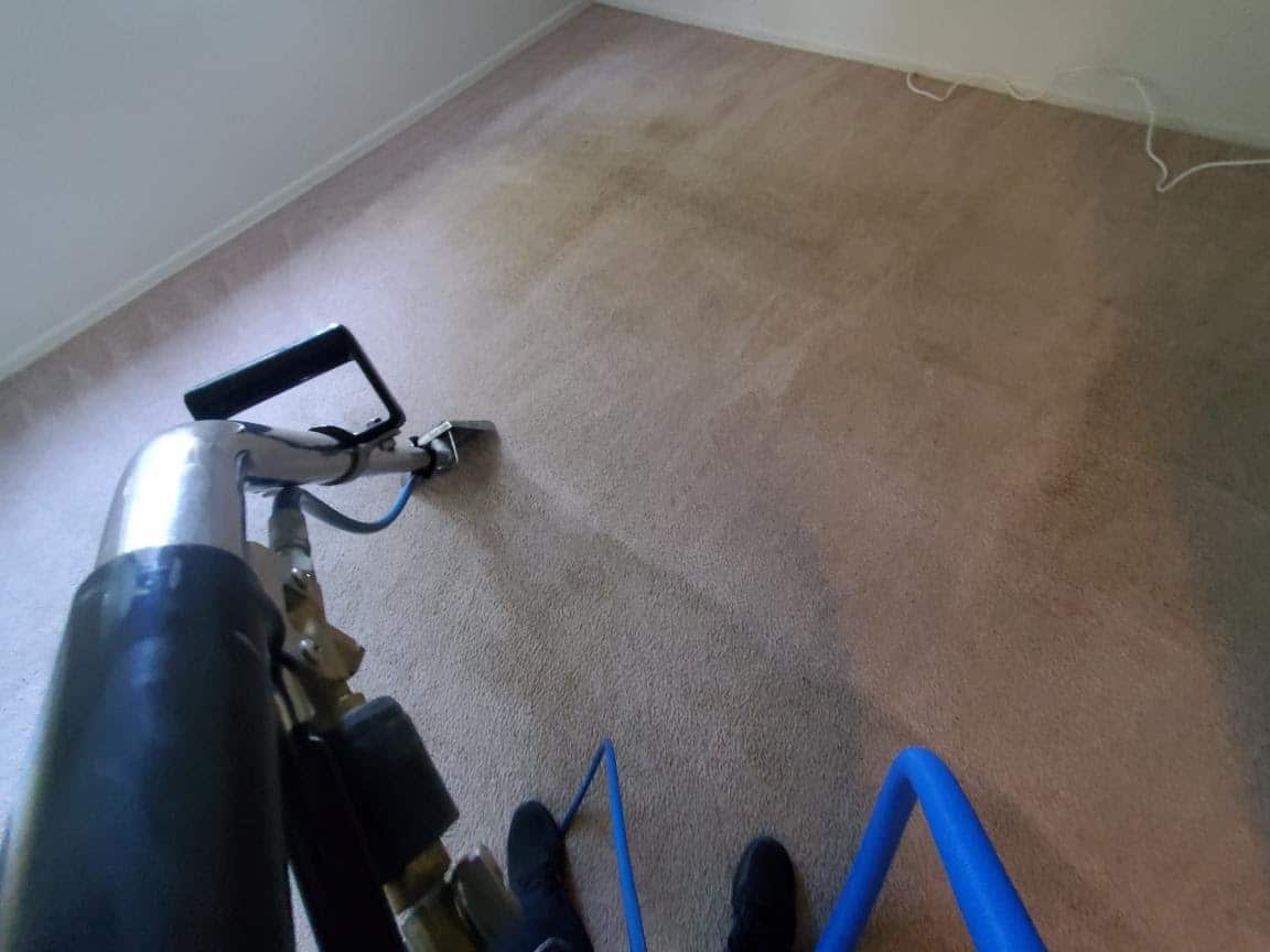 Why You Need To Clean Your Carpets in Rochester NY