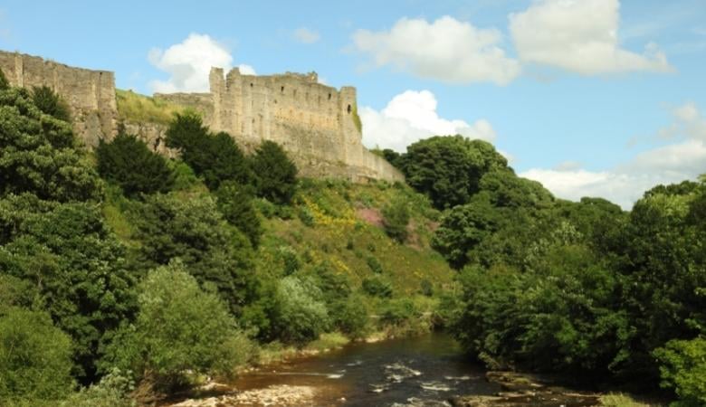 12 Things That Are About 98 Feet (ft) Long/Tall – dimensionofstuff.com