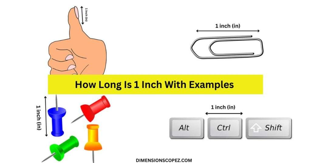 11 Common Things That Are 1 Inch Long Dimension Scopez