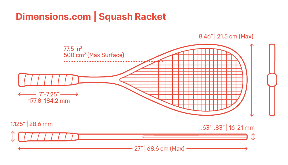 Squash Court Doubles Dimensions & Drawings