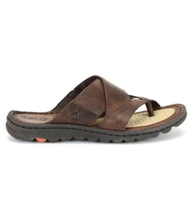 Born Sorja Sandals Dillards
