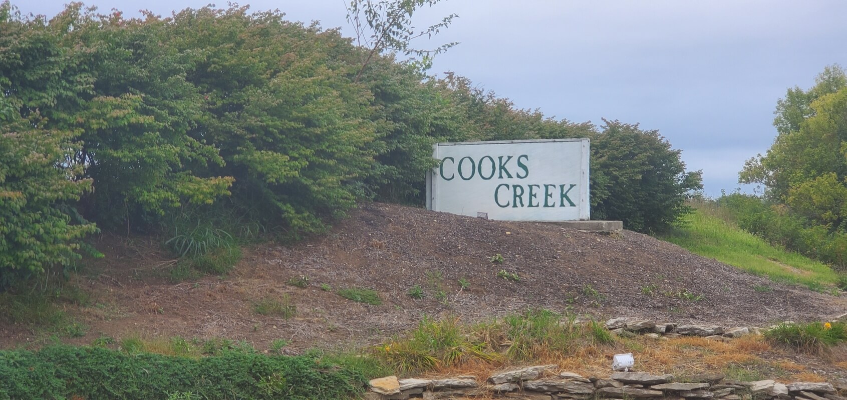 People’s Choice as voted on by you Summer 2020 Dimple Times