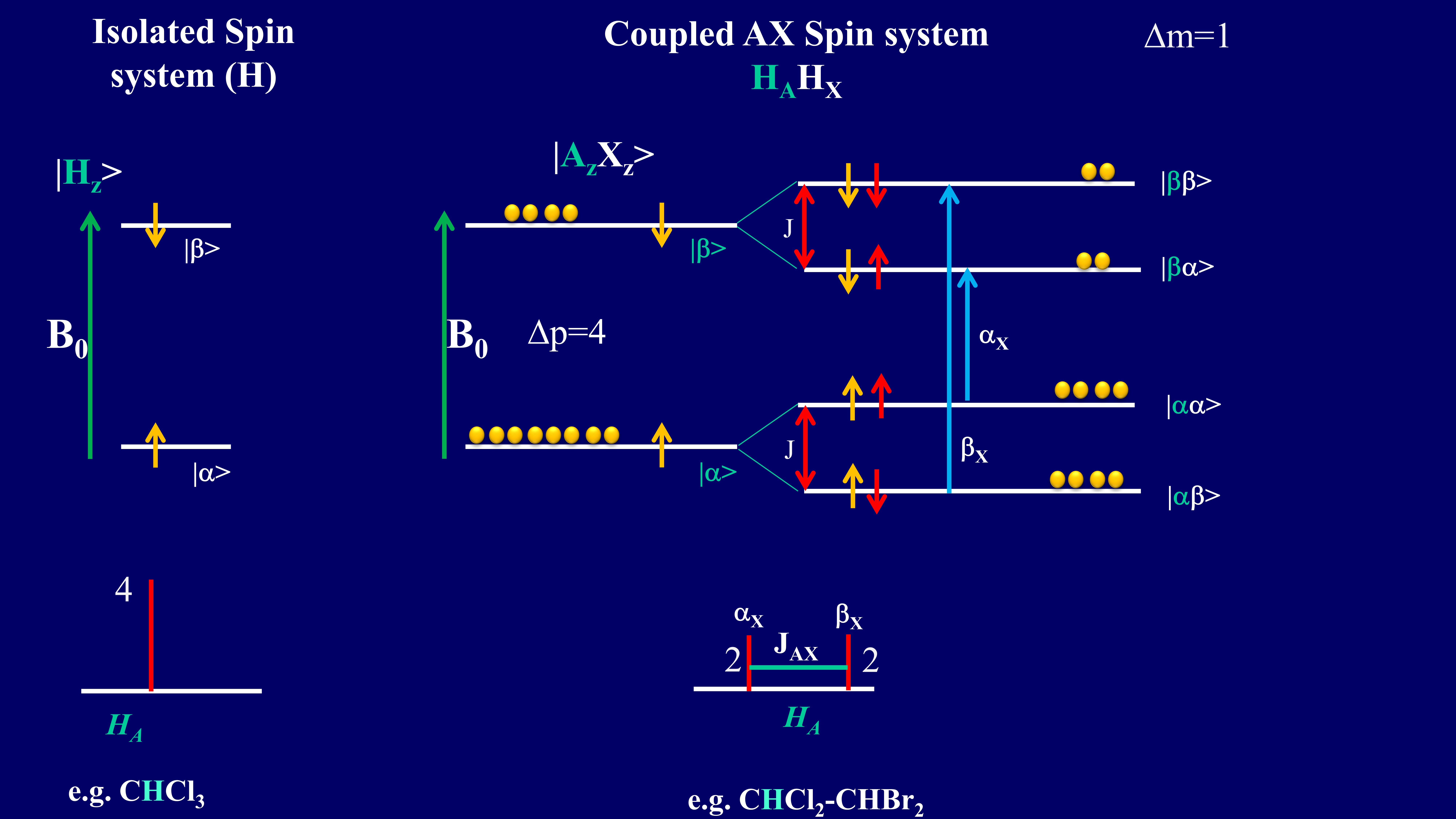 NMR Basics Dr. Dinesh Kumar
