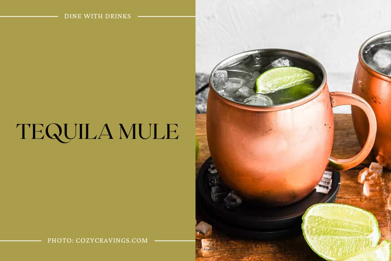 15 Tequila Mule Cocktails to Shake Up Your Happy Hour! DineWithDrinks