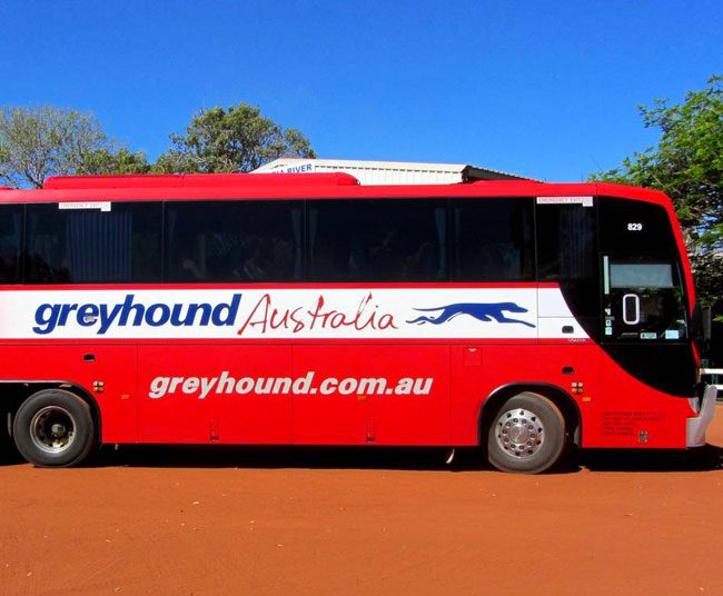 Transporte en autobús con GreyHound Australia Dingoos