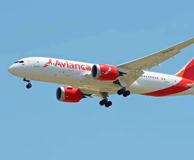 Vuela con la aerolínea Avianca Dingoos