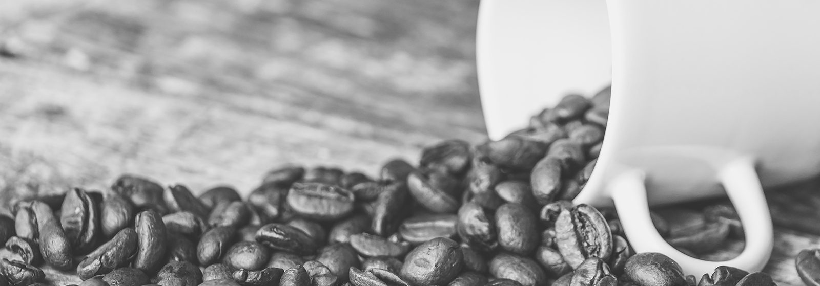 Coffee Program Dining Alliance