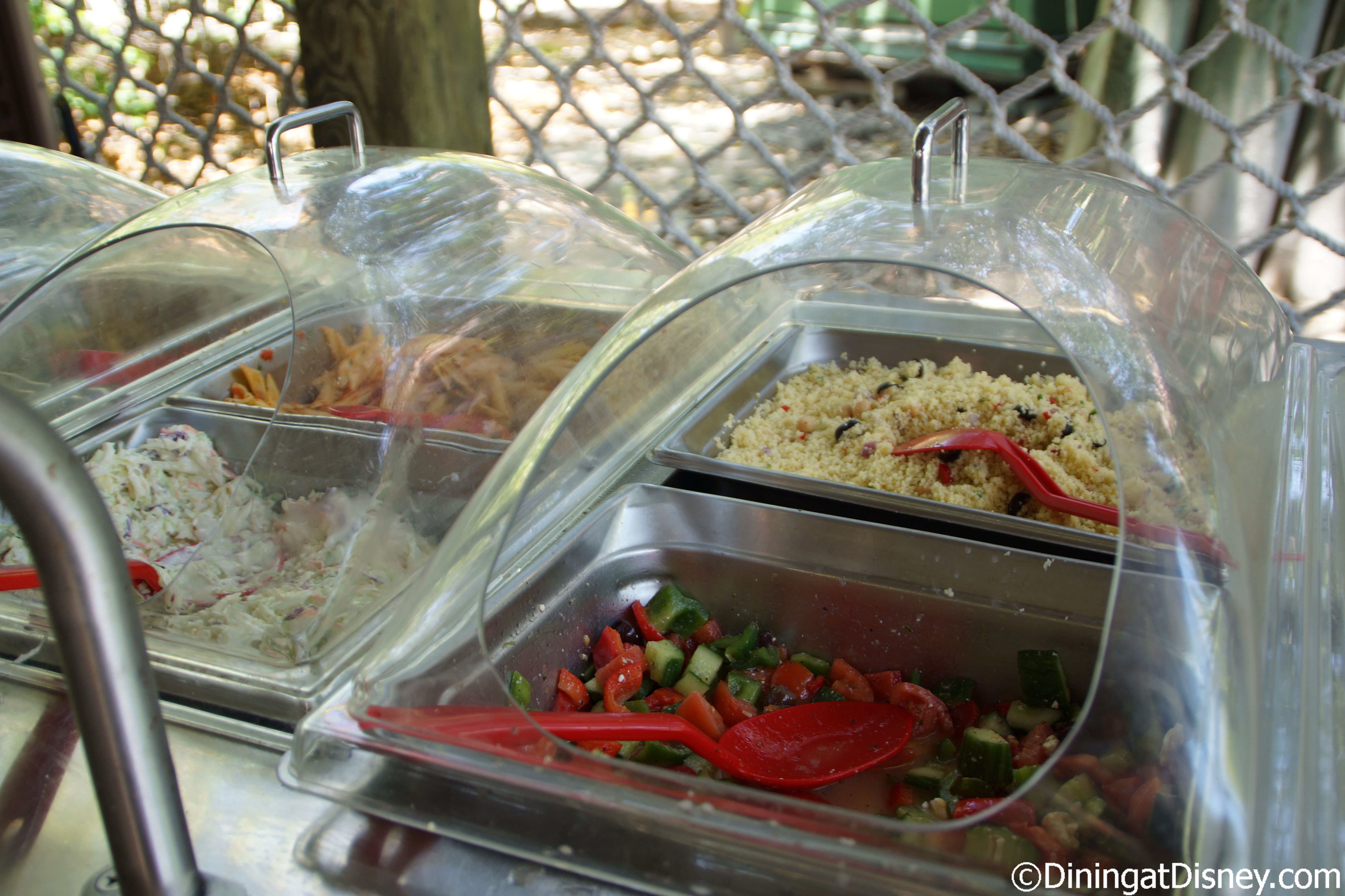 Serenity Bay BBQ on Castaway Cay